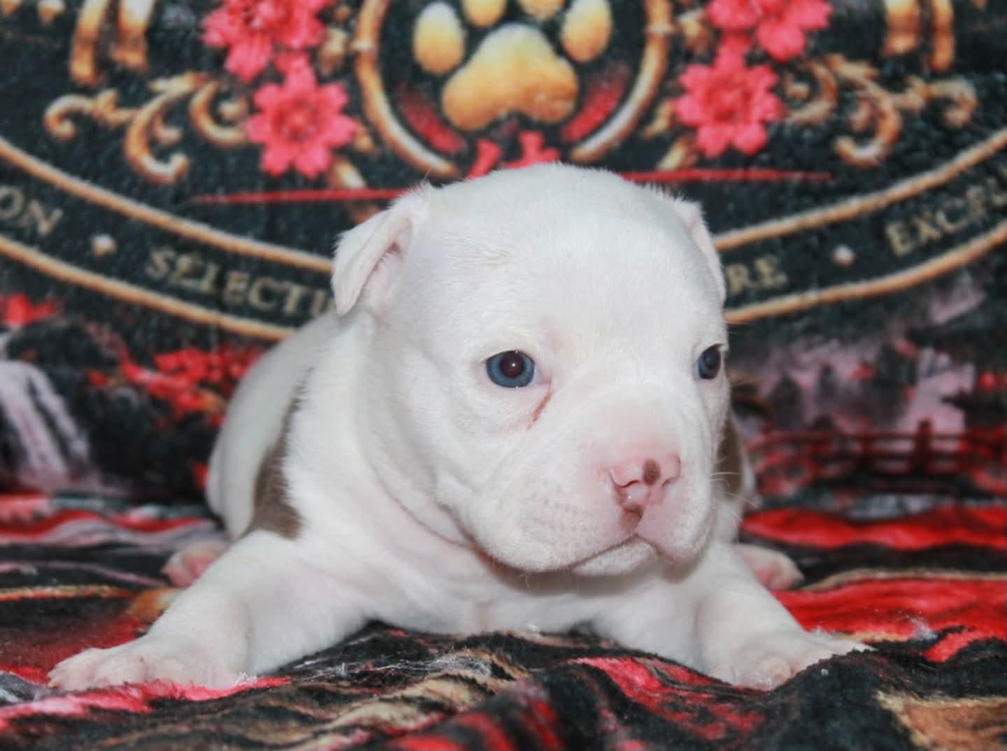 10220